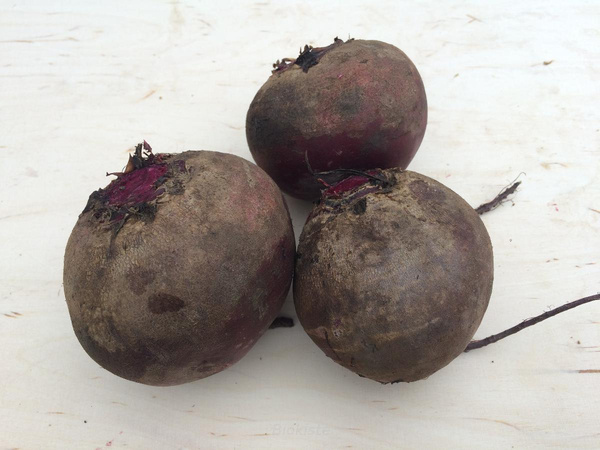 Produktfoto zu Rote Bete - neue Ernte