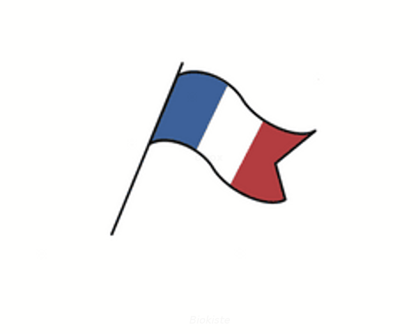 Produktfoto zu Tour de Kaas - Frankreich