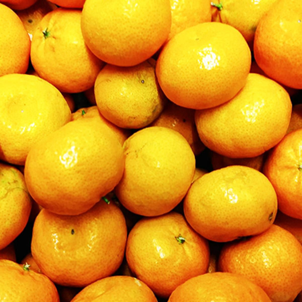 Produktfoto zu Mandarinen