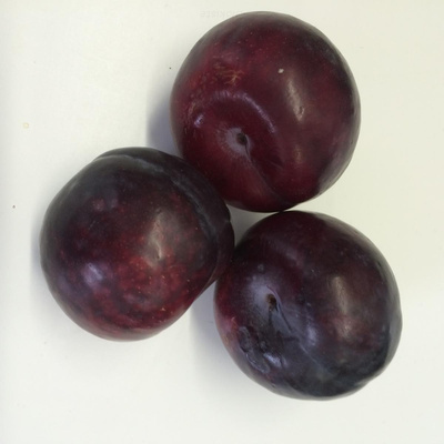 Produktfoto zu Pflaumen rot_schwarz
