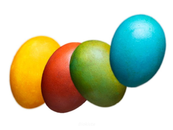 Produktfoto zu Bunte Eier Größe S_M