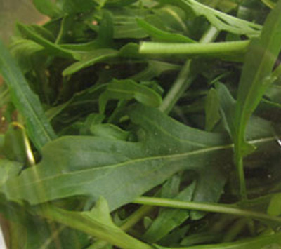 Produktfoto zu Rucola Schale 125g