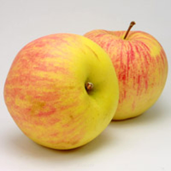 Produktfoto zu Apfel Akane, neue Ernte