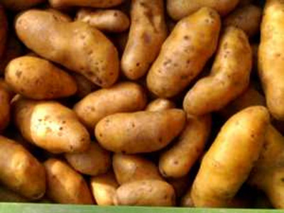 Produktfoto zu Früh-Kartoffel mk -