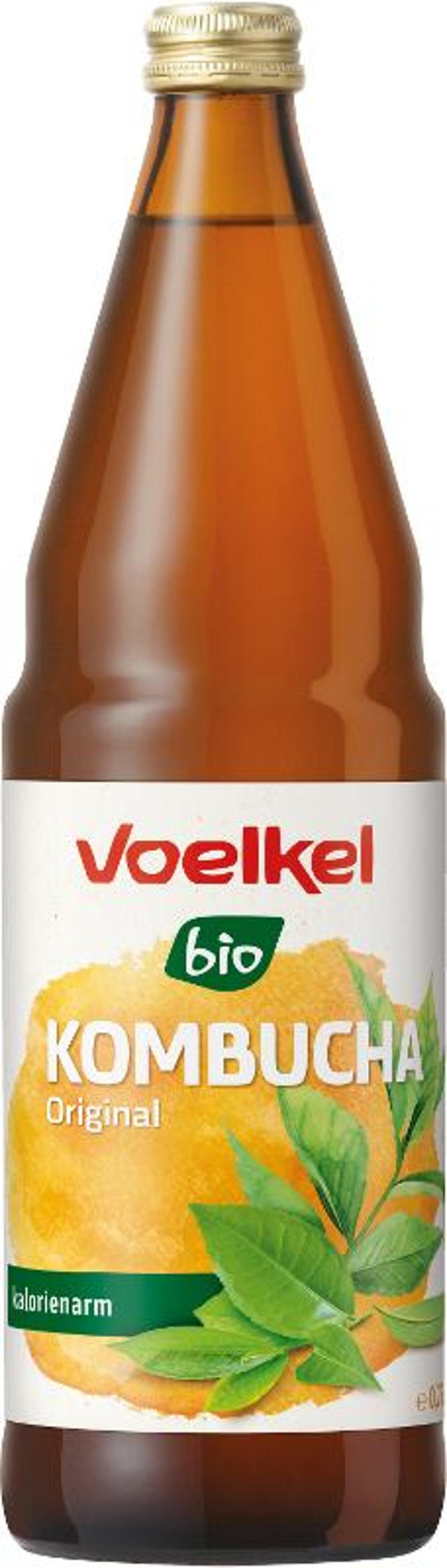 Produktfoto zu Kombucha Erfrischungsgetr.