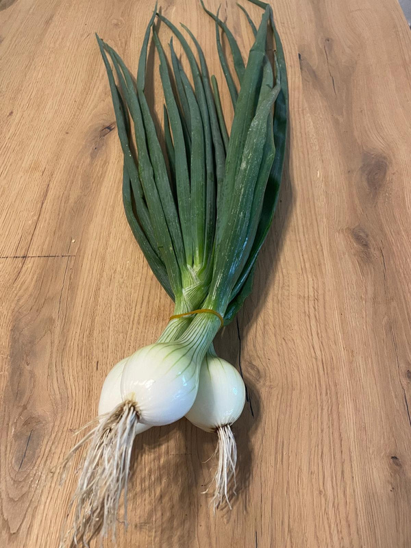 Produktfoto zu Frische Bundzwiebeln