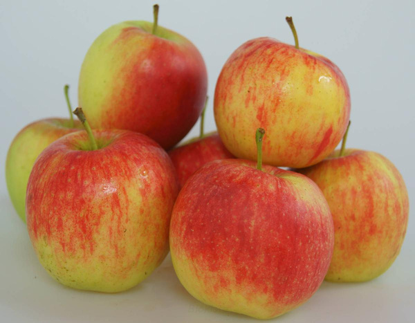 Produktfoto zu Apfel Cripps pink,neue Ernte