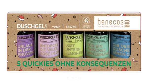 Produktfoto zu 5 Quickies ohne Konsequenzen