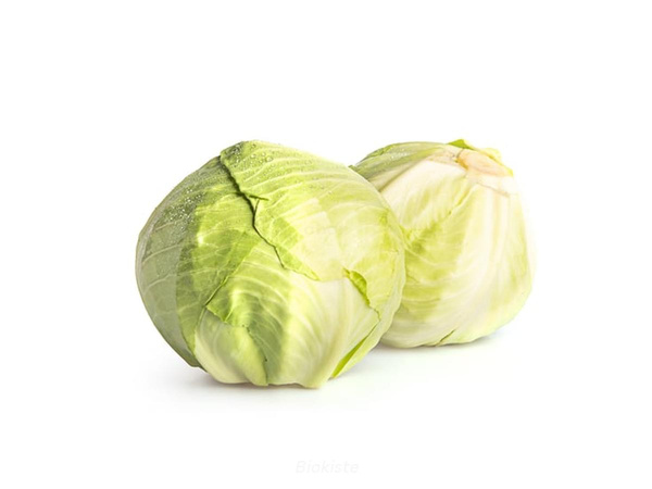 Produktfoto zu Weißkohl - neue Ernte