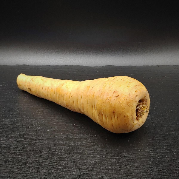 Produktfoto zu Pastinaken, neue Ernte