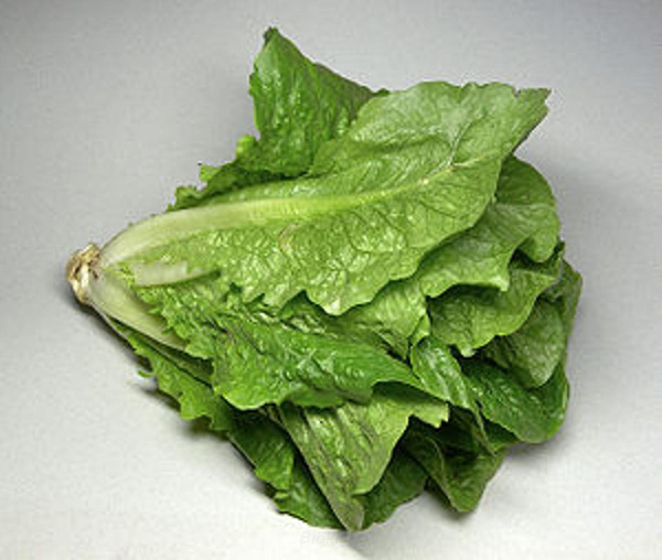Produktfoto zu Salat Romana
