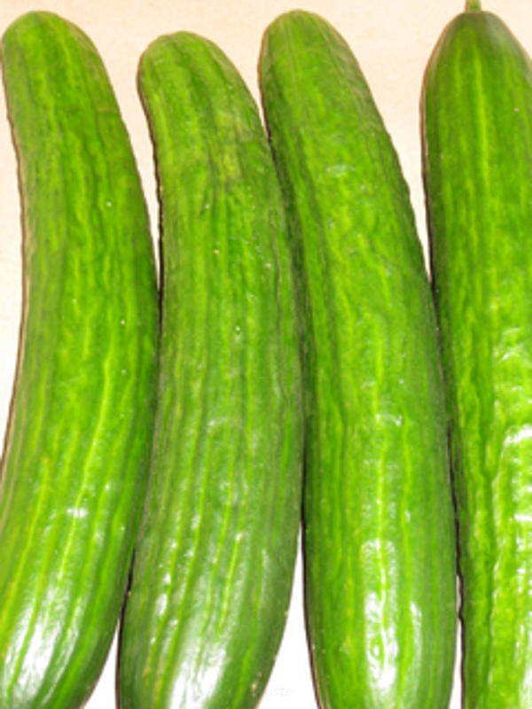 Produktfoto zu Schlangengurken