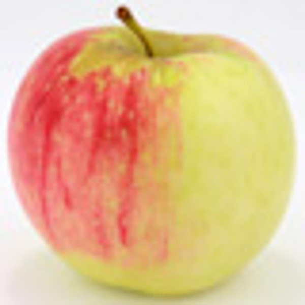 Produktfoto zu Apfel Sissyred neue Ernte