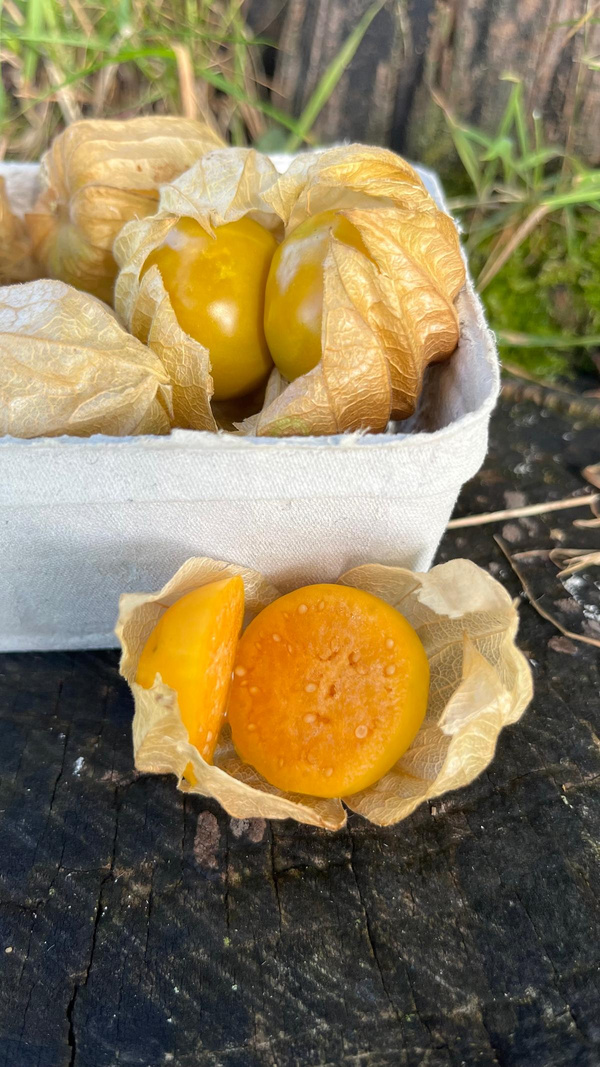 Produktfoto zu Physalis 100g