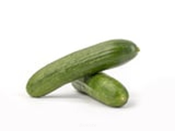 Produktfoto zu Snack-Gurken