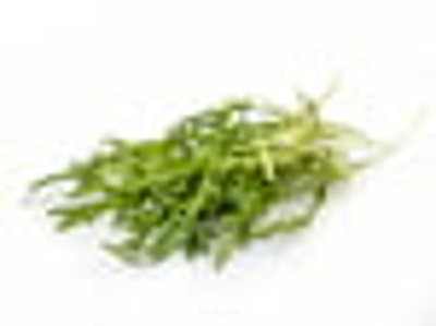 Produktfoto zu Rucola lose