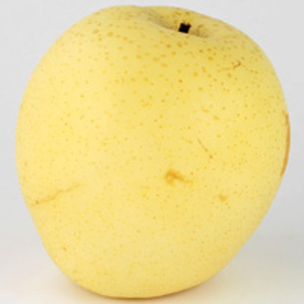 Produktfoto zu Birne Nashi