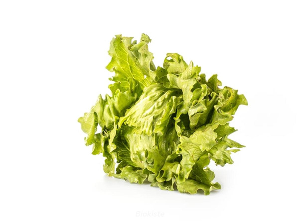 Produktfoto zu Eissalat