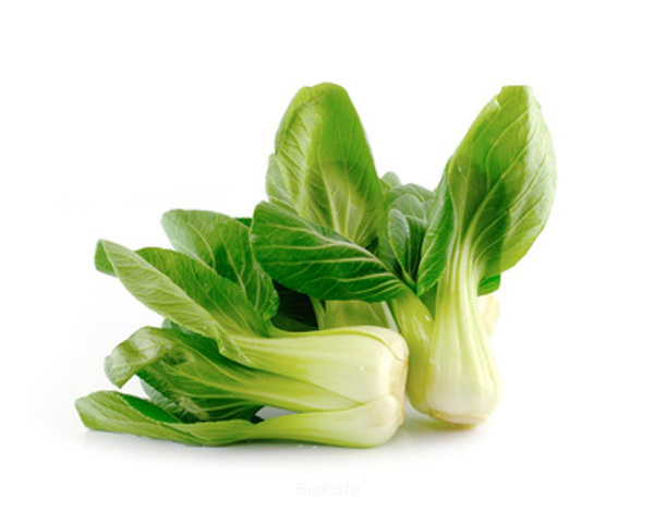 Produktfoto zu Mini Pak Choy ca. 150g