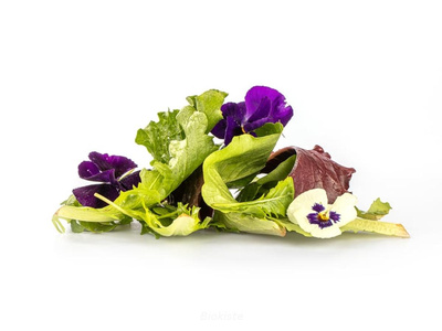 Produktfoto zu Wildkräutersalat