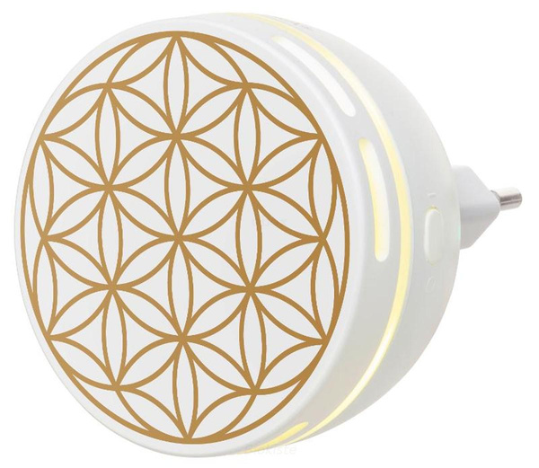 Produktfoto zu Aroma Duftstecker Easy