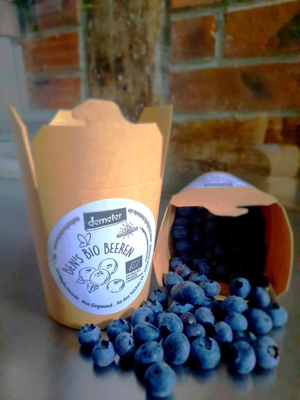 Produktfoto zu Heidelbeeren 250g