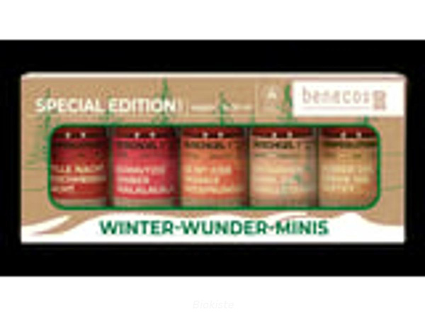 Produktfoto zu Winter Wunder Minis