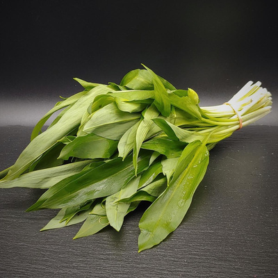 Produktfoto zu Bärlauch im Bund