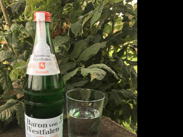 Produktfoto zu Purvea still 12 x 0,75 l Kiste Glas