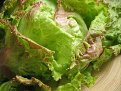 Produktfoto zu Salat Romanasalat rot