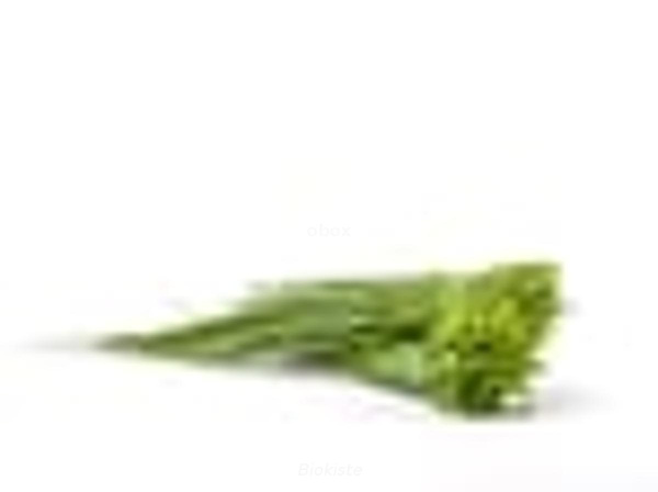 Produktfoto zu Schnittlauch im Bund