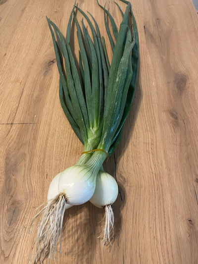 Produktfoto zu Frische Bundzwiebeln