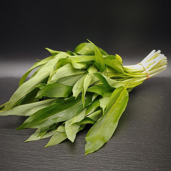 Produktfoto zu Bärlauch im Bund