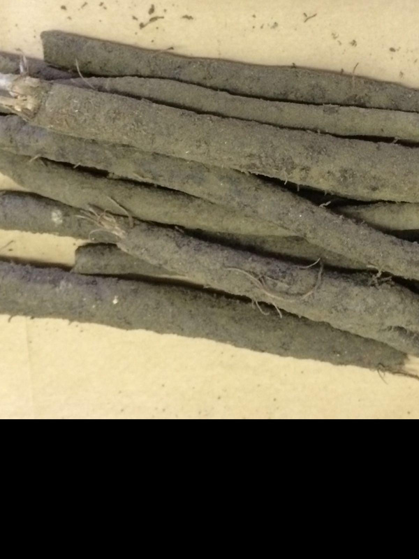 Produktfoto zu Schwarzwurzeln