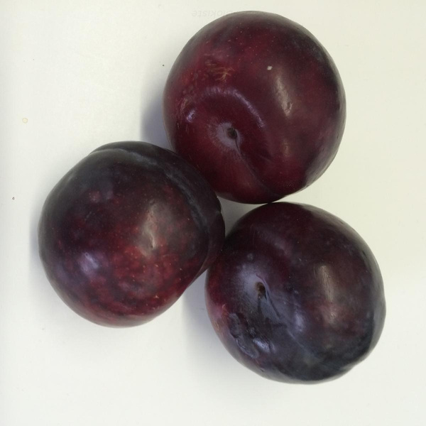 Produktfoto zu Pflaumen rot, schwarz