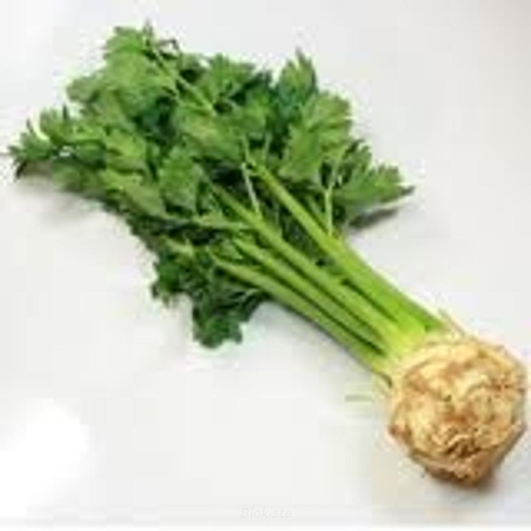 Produktfoto zu Knollensellerie mit Grün