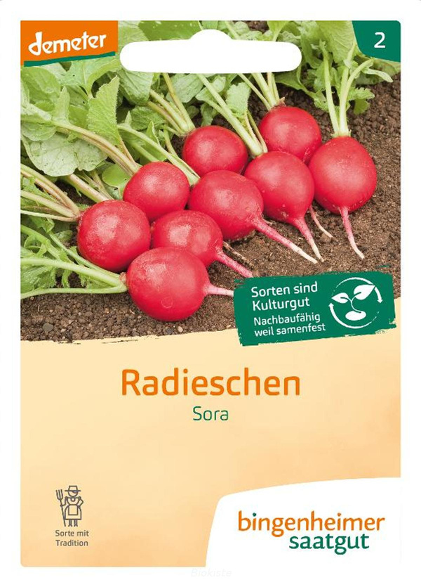Produktfoto zu Radieschen Saatgut