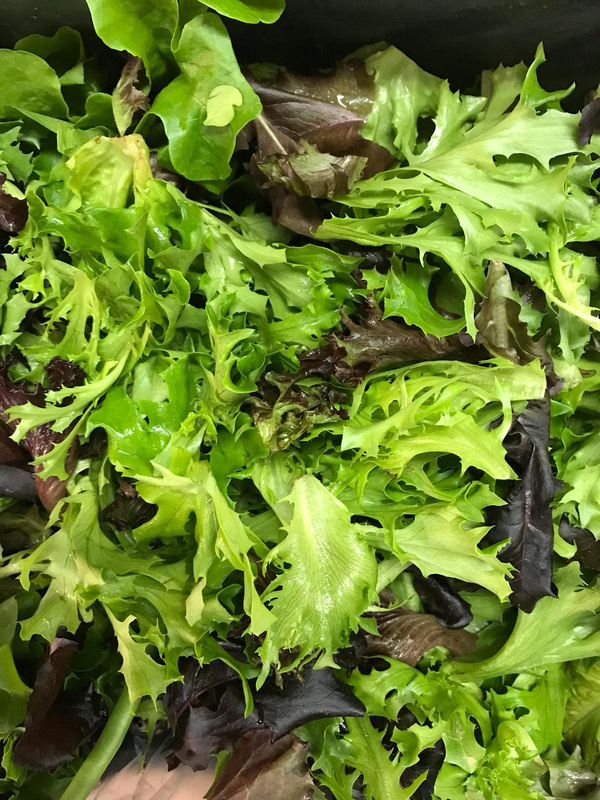 Produktfoto zu Wildkräutersalat