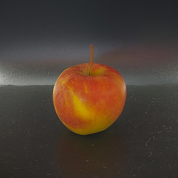 Produktfoto zu Apfel Elstar neue Ernte