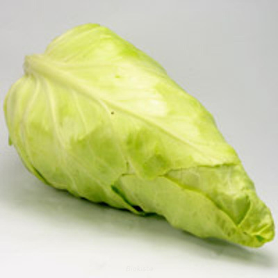 Produktfoto zu Spitzkohl neue Ernte