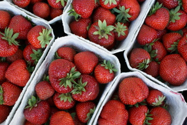 Produktfoto zu Erdbeeren 500g